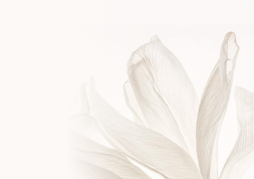 Ensemble de bouteilles de parfum