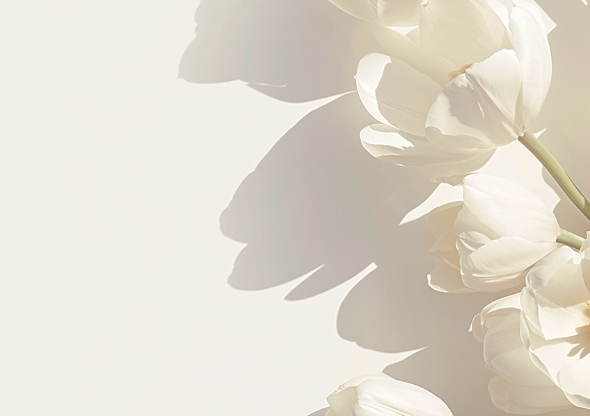 Bouchon de buse de pulvérisation de parfum